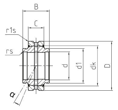 DGE-HO-2RS drawing