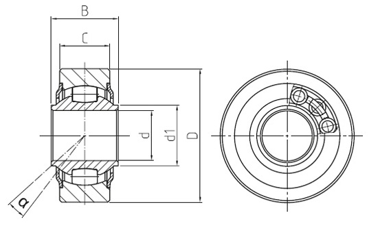 WLT NIRO VR drawing